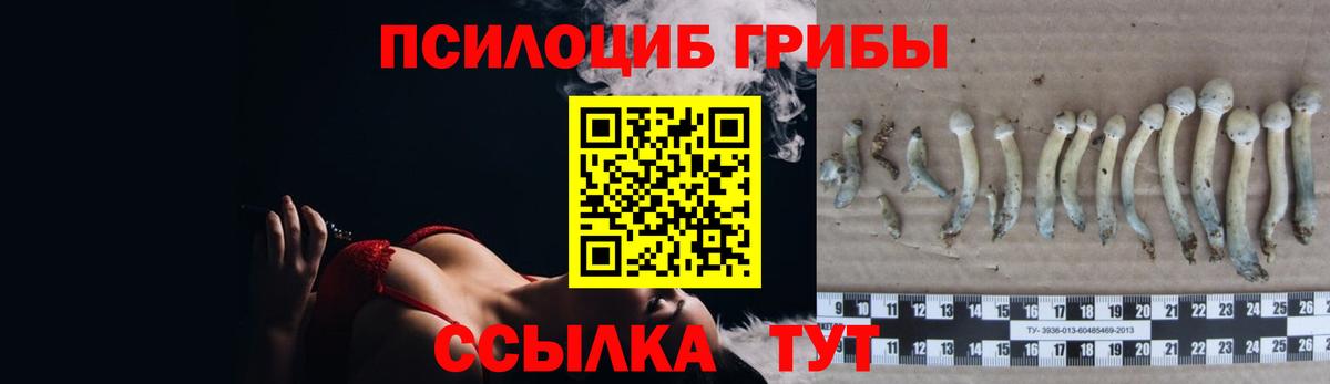 купить наркотики сайты  Псилоцибиновые грибы Magic Shrooms  Вход с VPN  Каменск-Уральский 